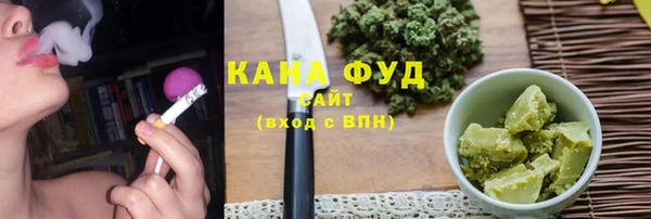 spice Богородицк