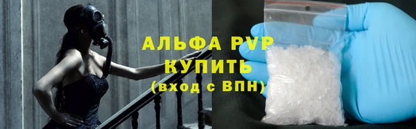 spice Богородицк