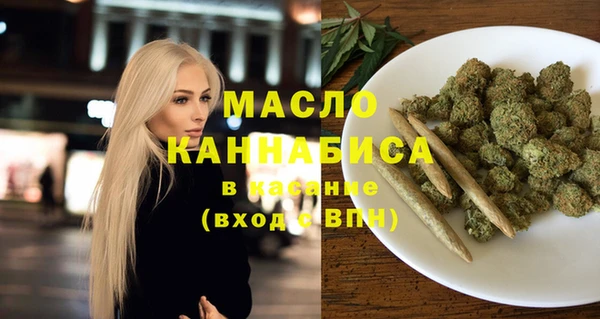 spice Богородицк