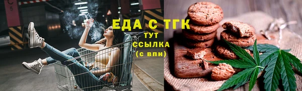 spice Богородицк